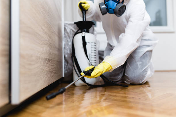 Best Pest Control for Restaurants  in Apopka, FL