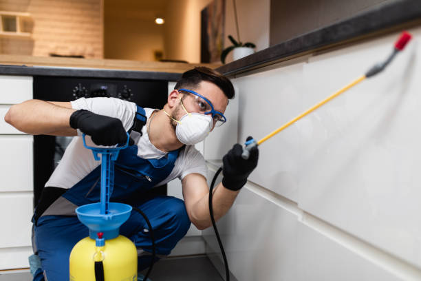 Best Pest Prevention Services  in Apopka, FL