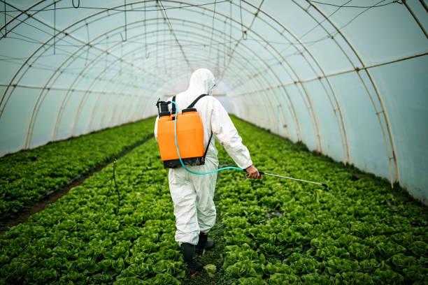 Best Pest Inspection Near Me  in Apopka, FL