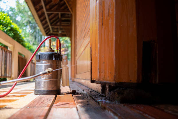 Pest Control for Restaurants in Apopka, FL