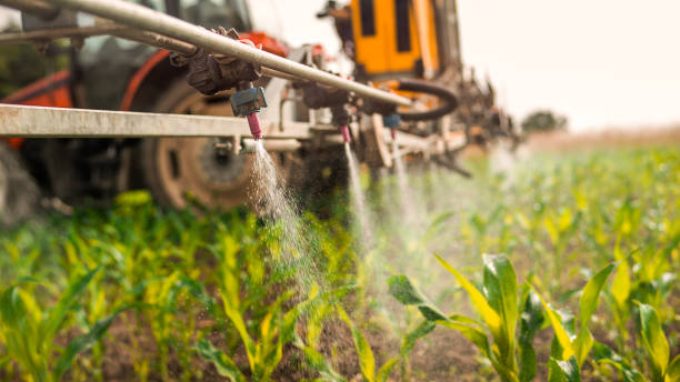 Best Mosquito Control Services  in Apopka, FL
