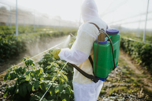 Best Residential Pest Control  in Apopka, FL